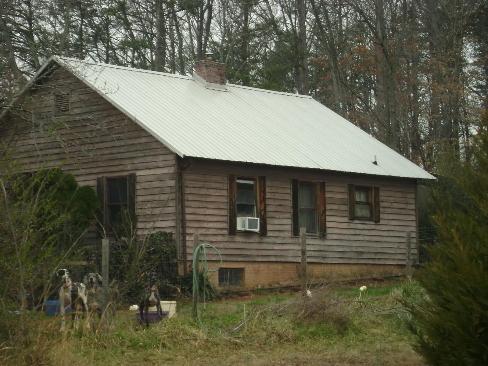 White metal roof on an old wood sided farmhouse, from a Asphalt Shingle Roof Repair job in West Edmeston